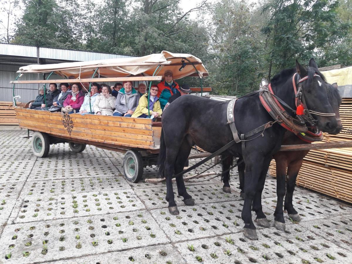 Agroturystyka U Misia Niedźwiedź Exterior foto